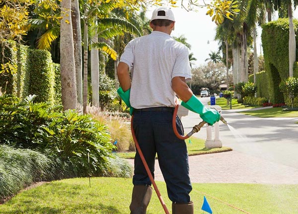 About Brookfield CT Pest Control